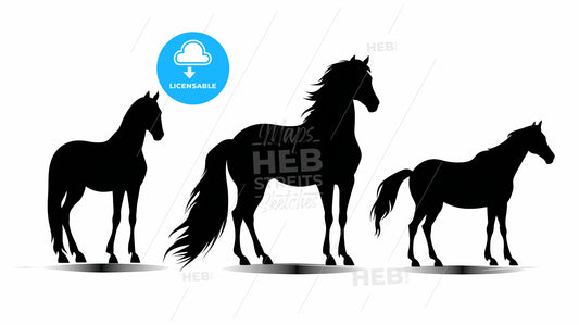 Group Of Horses In Different Poses