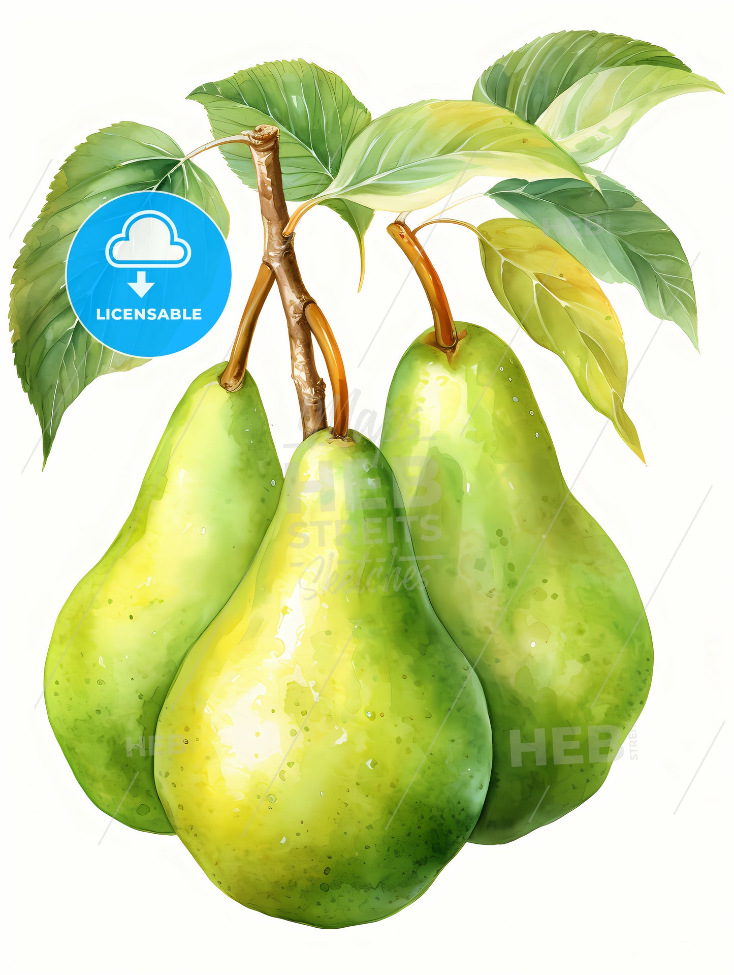 Watercolor Illustration of green pears