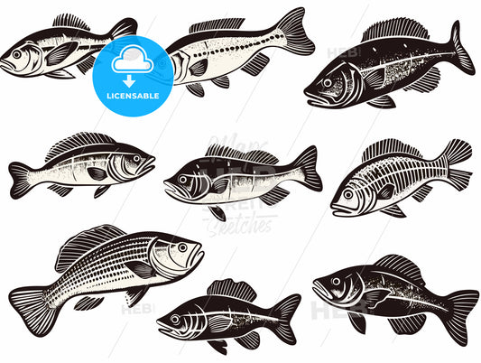 bass fish icons isolated on white background.