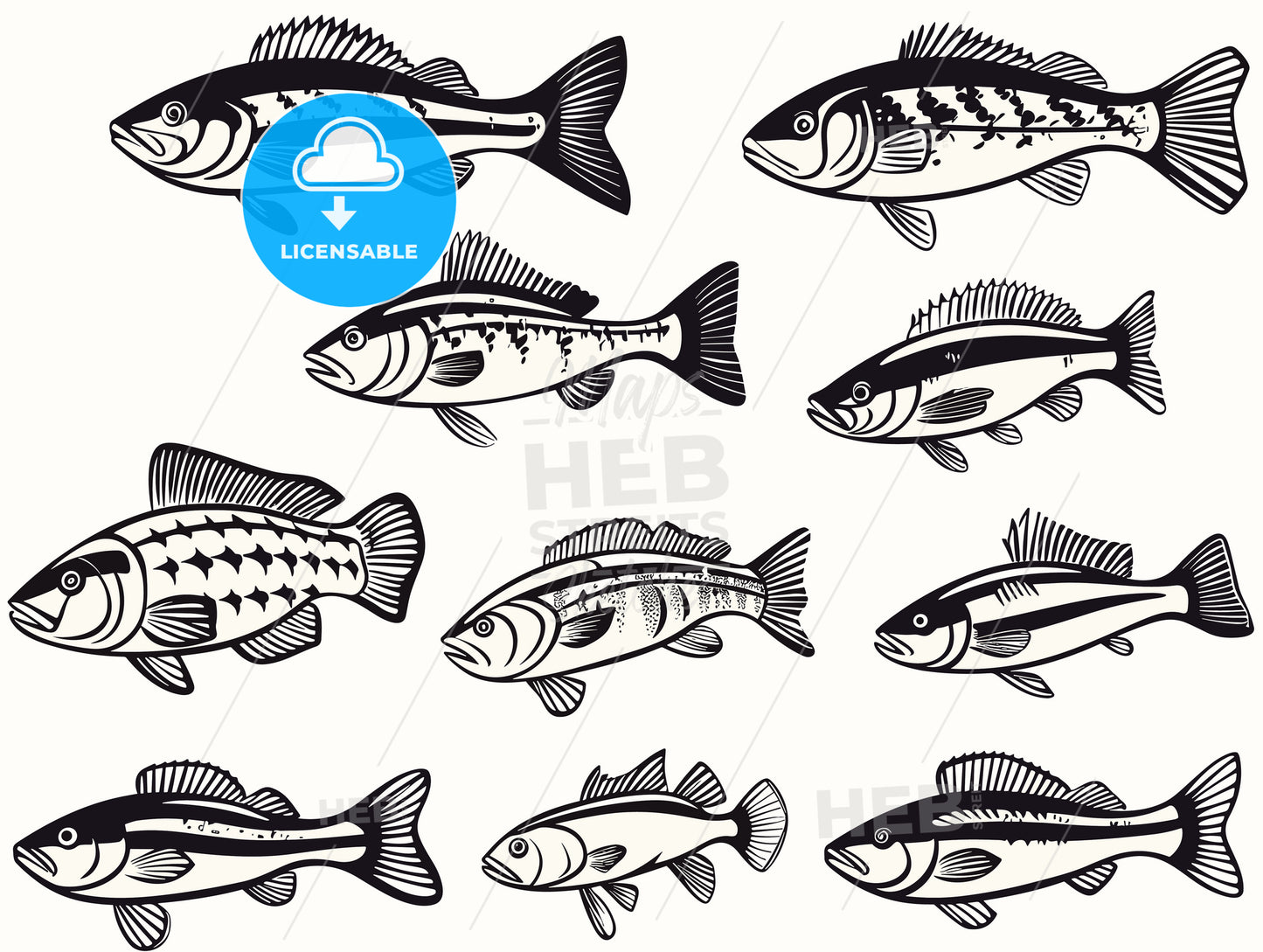 bass fish icons isolated on white background.