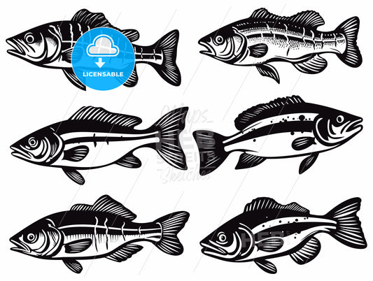 bass fish icons isolated on white background.