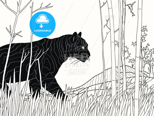 Black panther in the woods