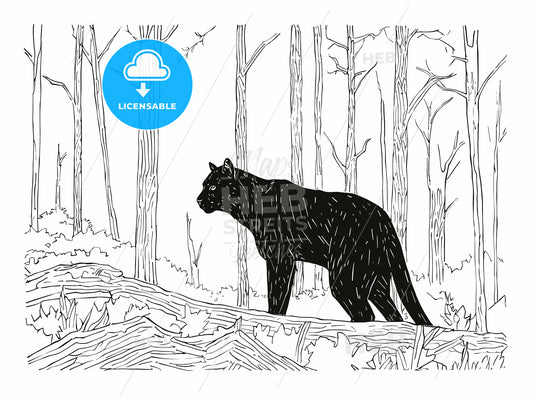 Black panther in the woods
