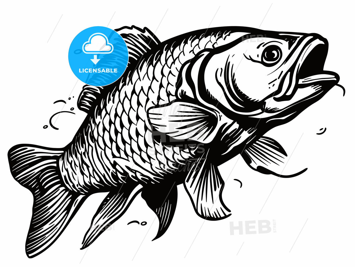 Carp fish cartoon. Vector illustration.