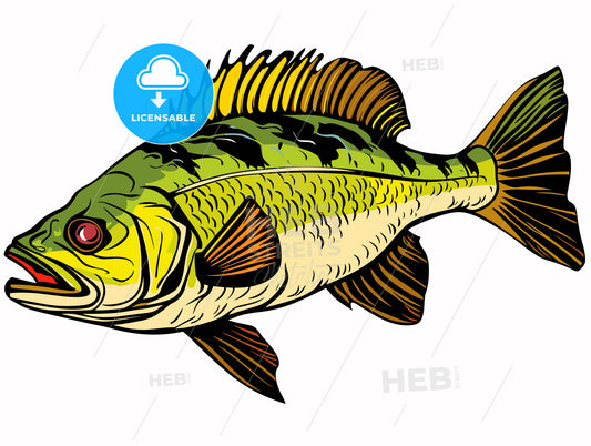 Catching Bass fish. Fish color. Vector fish.