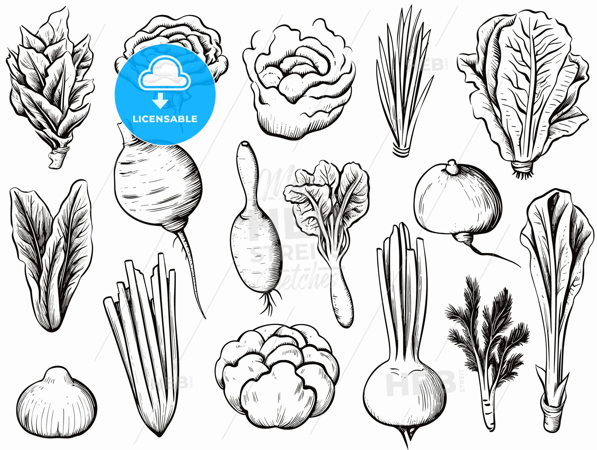 Fresh Vegetables. – HEBSTREITS