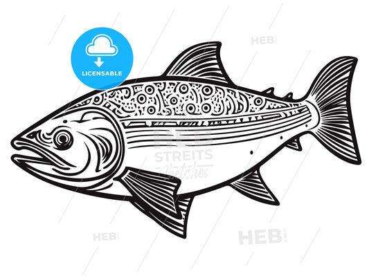King salmon fish. Hand drawn.