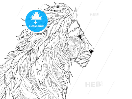 Picture of lion of high-res with an artistic background