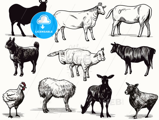 Set of vector drawings of farm animals.