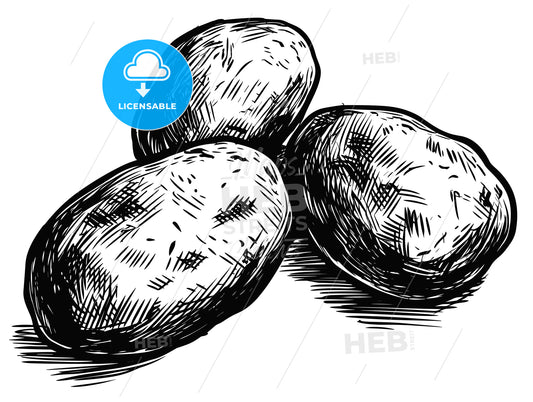 Three potatoes isolate on a white background.