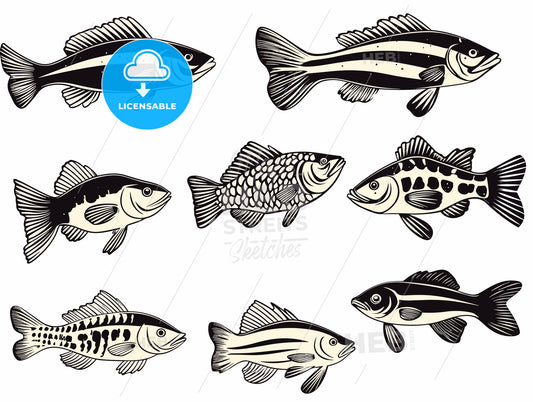 Types freshwater fish Silhouettes.