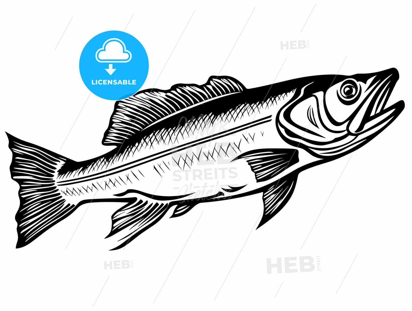 Walleye fish sign on white background.