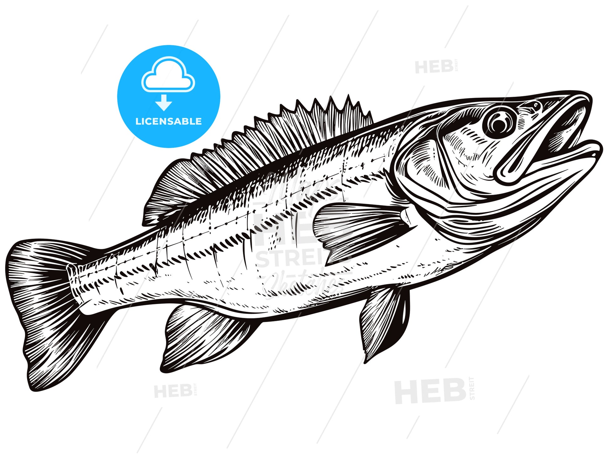 Walleye fish sign on white background. - HEBSTREITS Stock Image