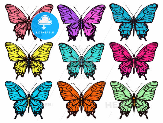 Colorful butterfly s set