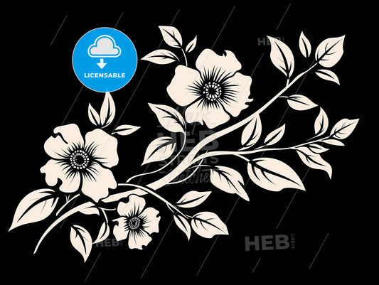 A White Flowers On A Black Background
