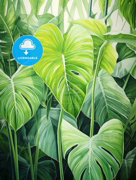 A Close Up Of A Plant