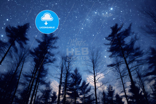 The Milkyway Is Blue, A Group Of Trees In The Sky