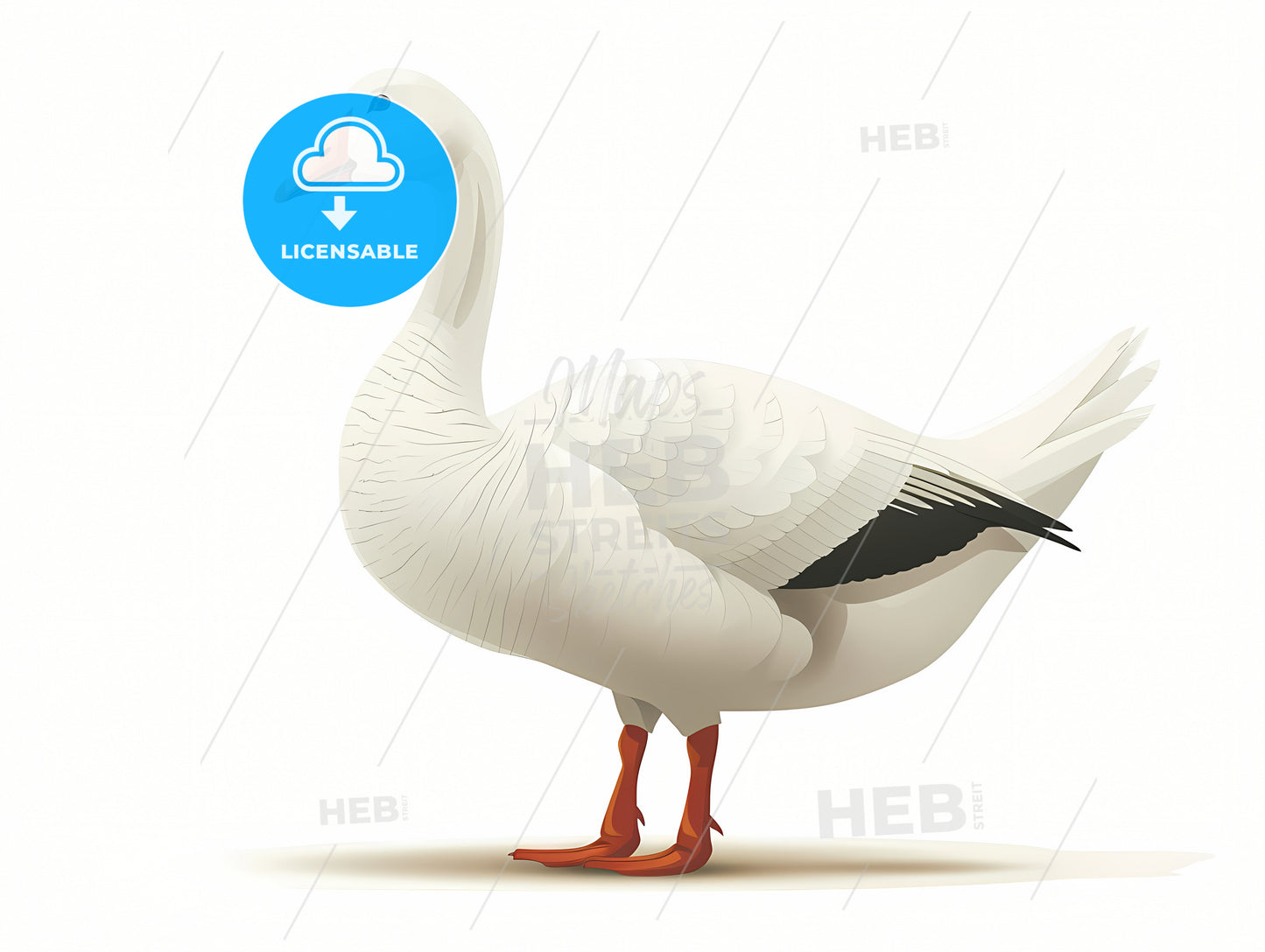 Cartoon Goose, A White Goose With Orange Beak