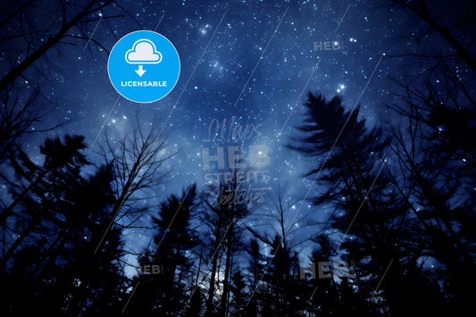 The Milkyway Is Blue, A Starry Sky With Trees