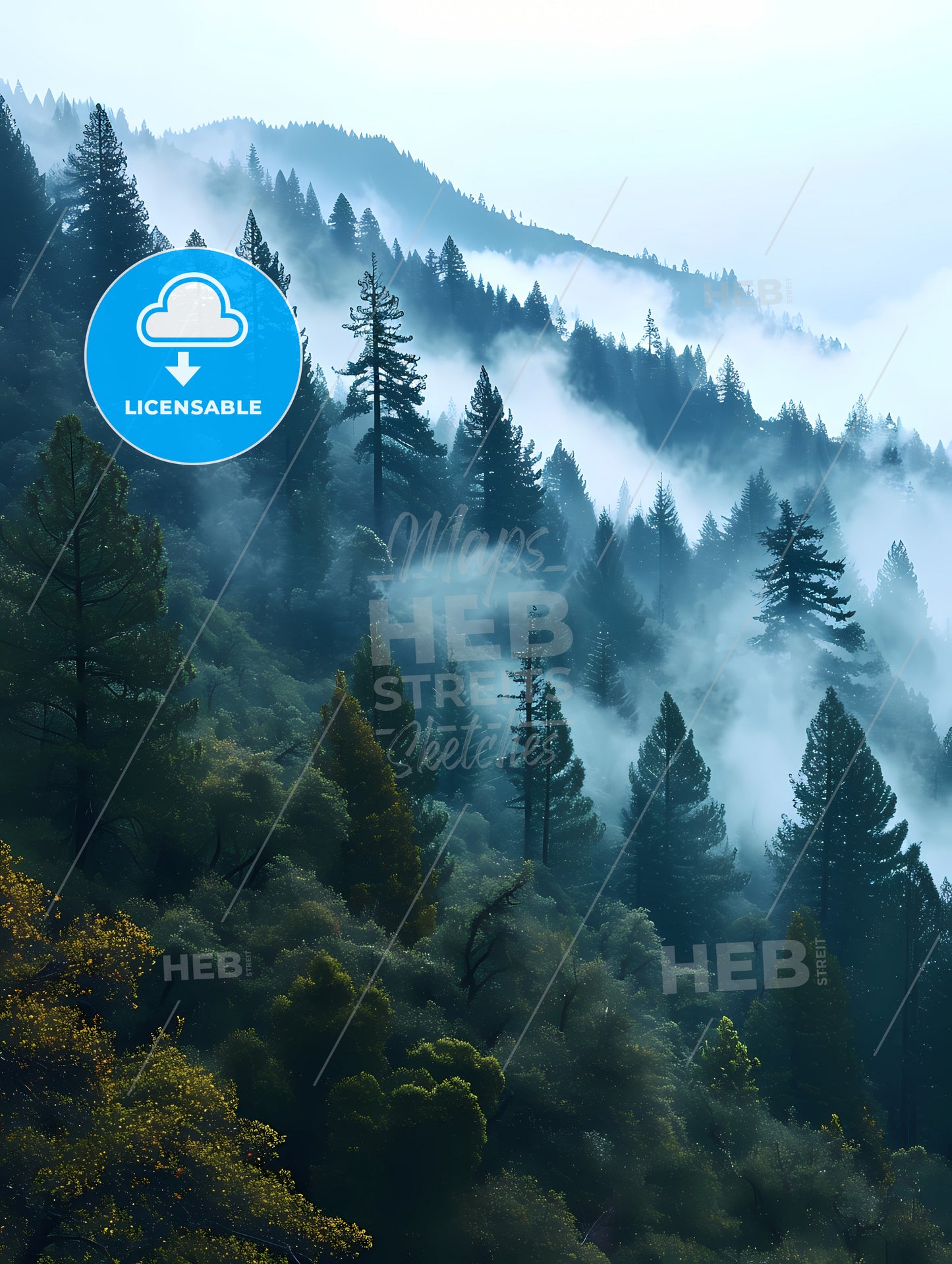 Tree Mountain Forest Near Mist, A Foggy Mountain With Trees