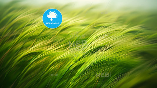 Abstract Background, Light Green And Brown, Grass And Wood Grains Texture - A Close Up Of Green Grass