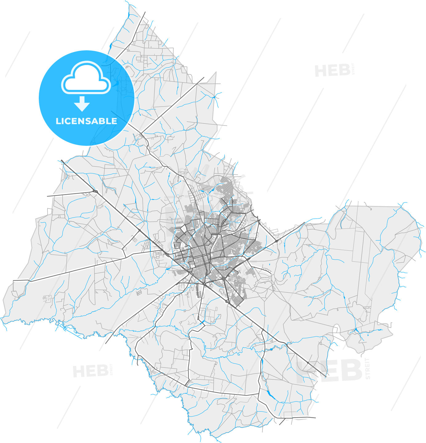 Araraquara, Brazil, high quality vector map