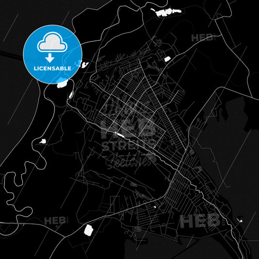 Arsenyev, Russia PDF map