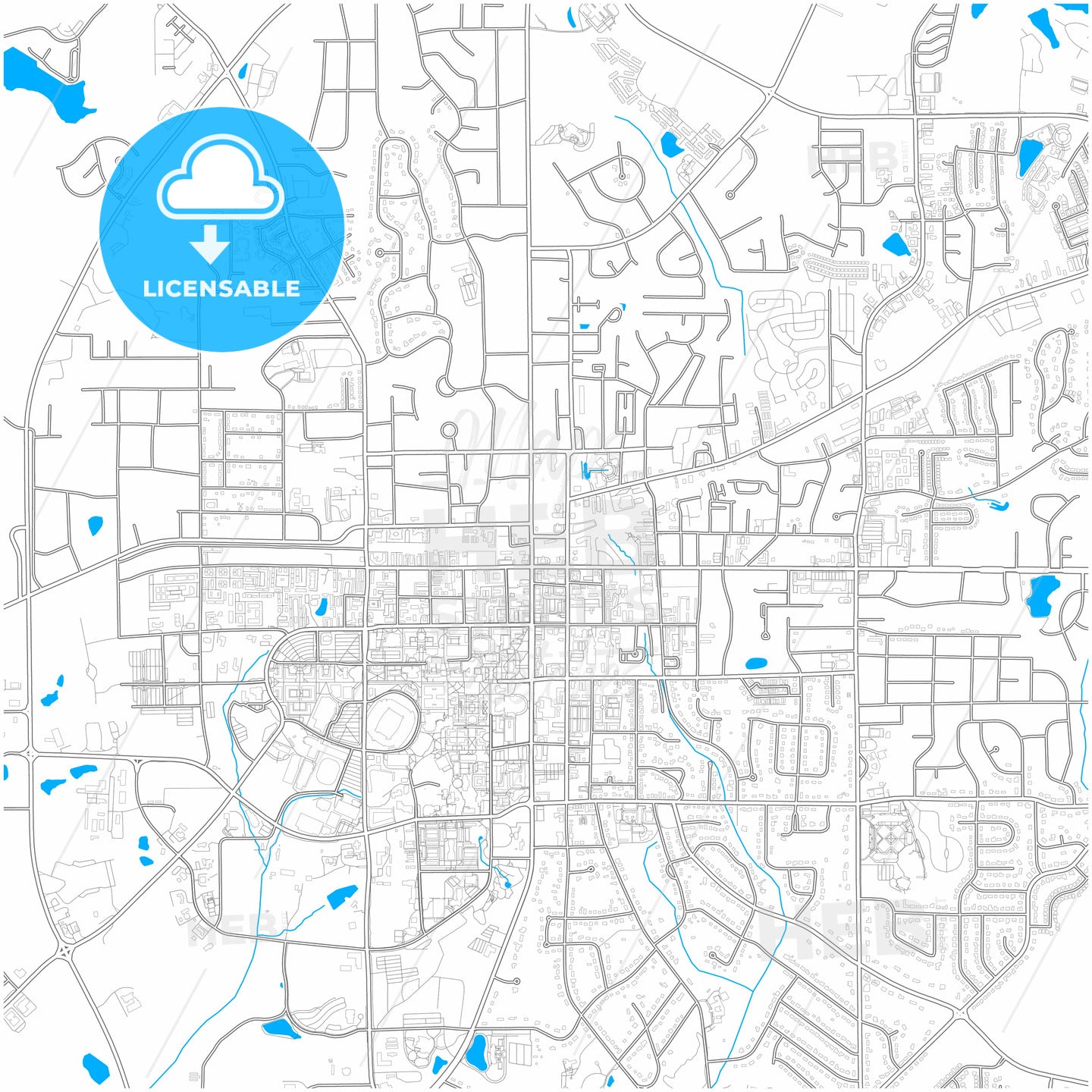 Auburn, Alabama, United States, city map with high quality roads.