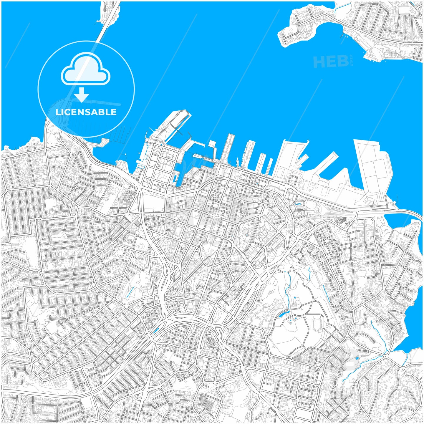 Auckland, New Zealand, city map with high quality roads.
