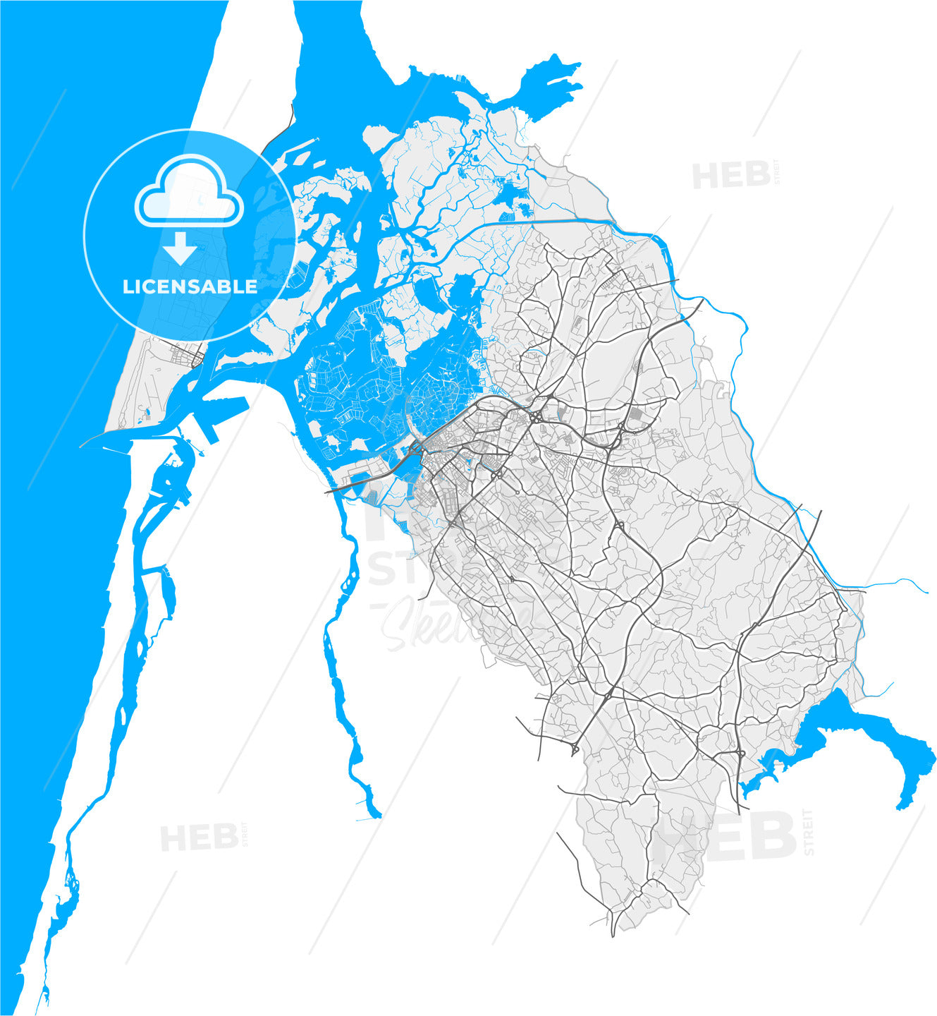 Aveiro, Aveiro, Portugal, high quality vector map