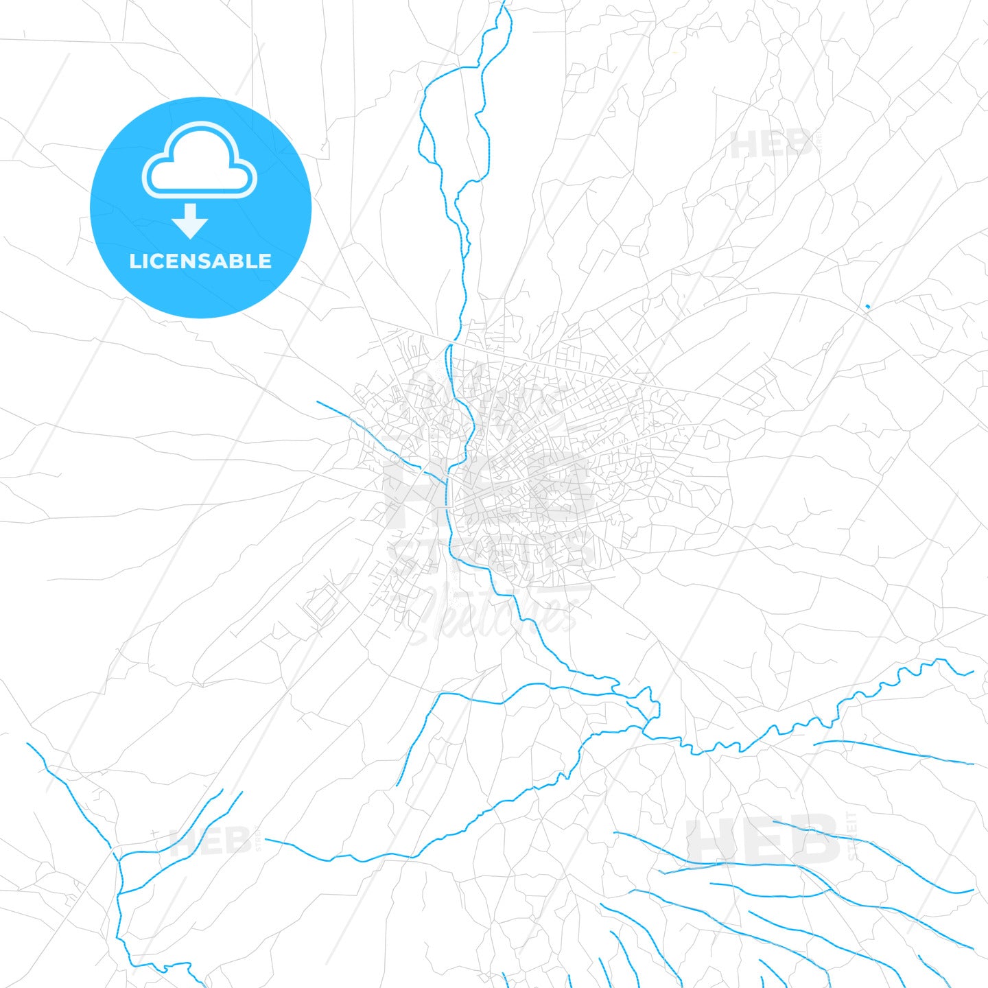 Baidoa, Somalia PDF vector map with water in focus