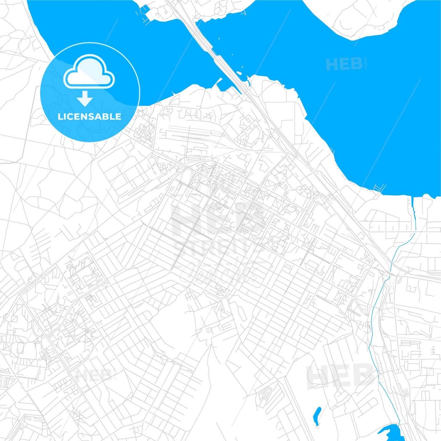 Berdsk, Russia bright two-toned vector map