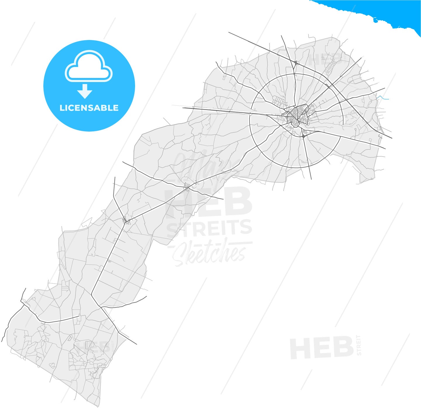 Bitonto, Apulia, Italy, high quality vector map