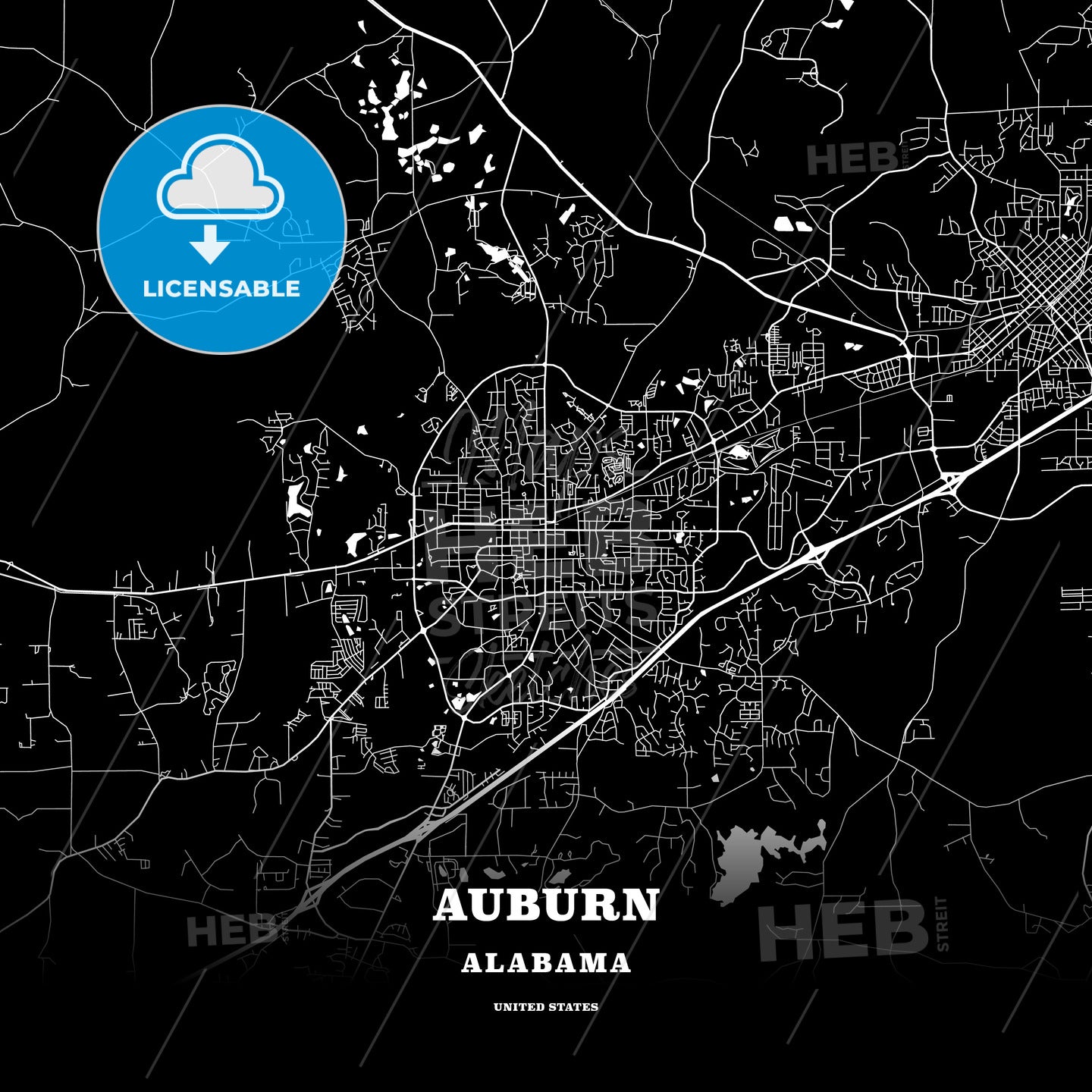 Auburn, Alabama, USA map