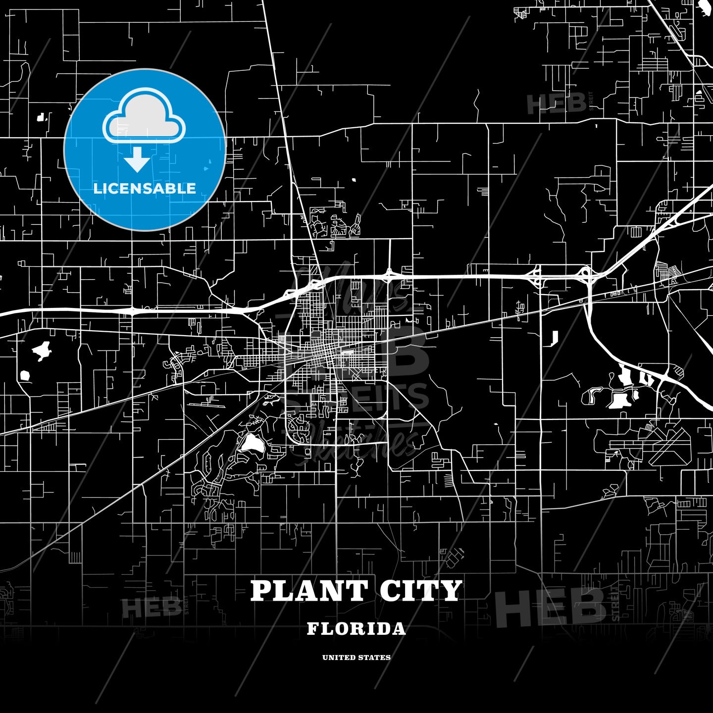 Plant City, Florida, USA map