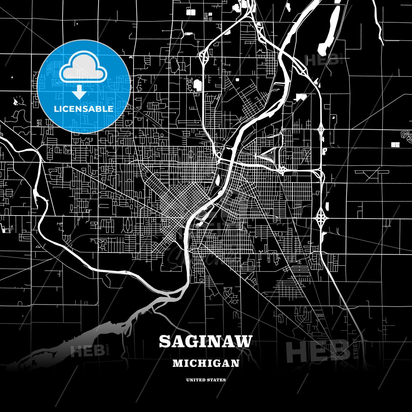 Saginaw, Michigan, USA map