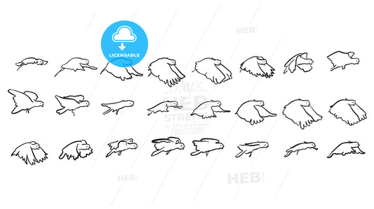 Cacadu Fly framed Sketch Study – instant download