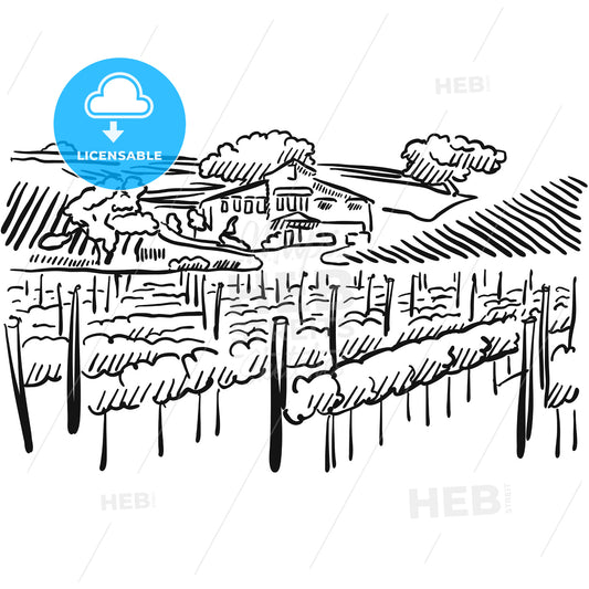 Californian Vineyard with Hills and House – instant download