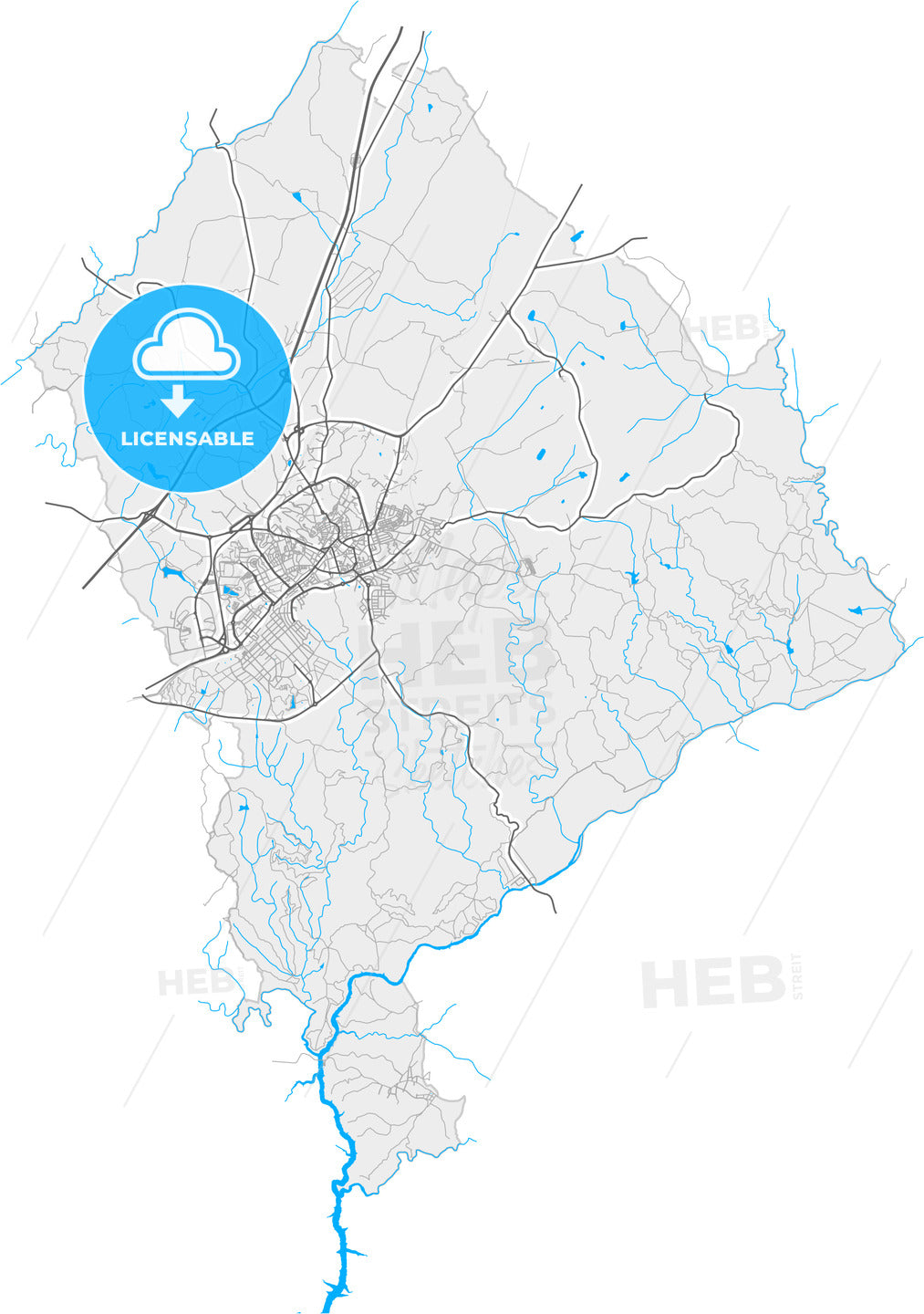 Castelo Branco, Castelo Branco, Portugal, high quality vector map