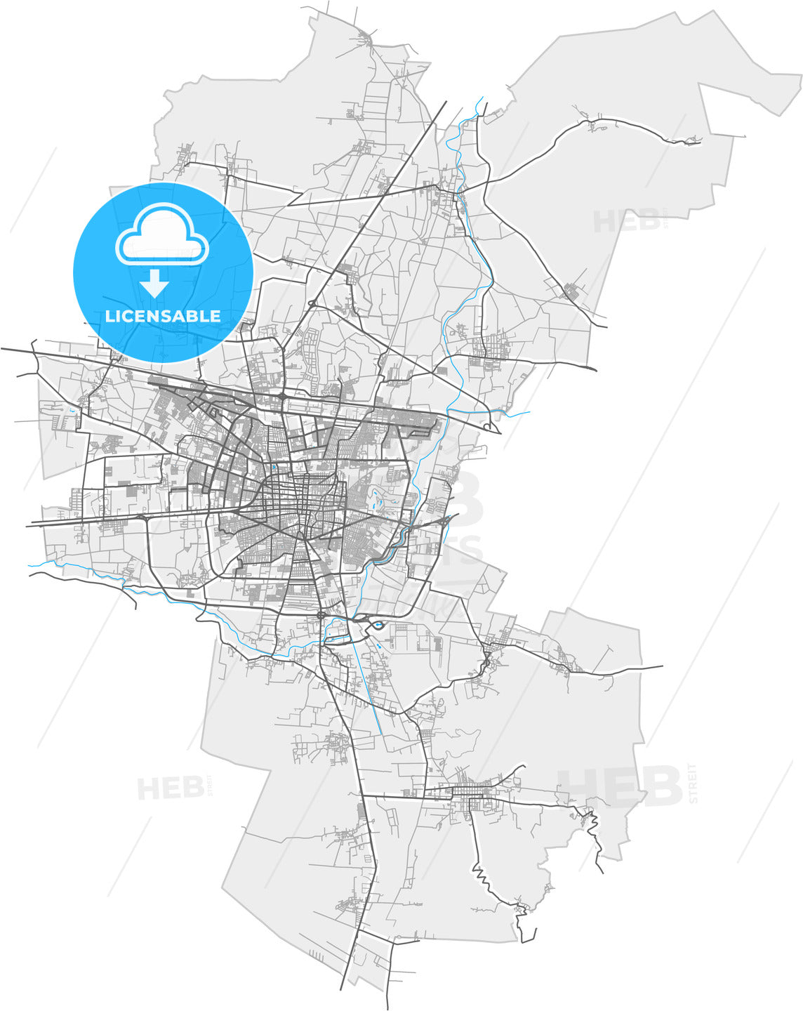 Celaya, Guanajuato, Mexico, high quality vector map