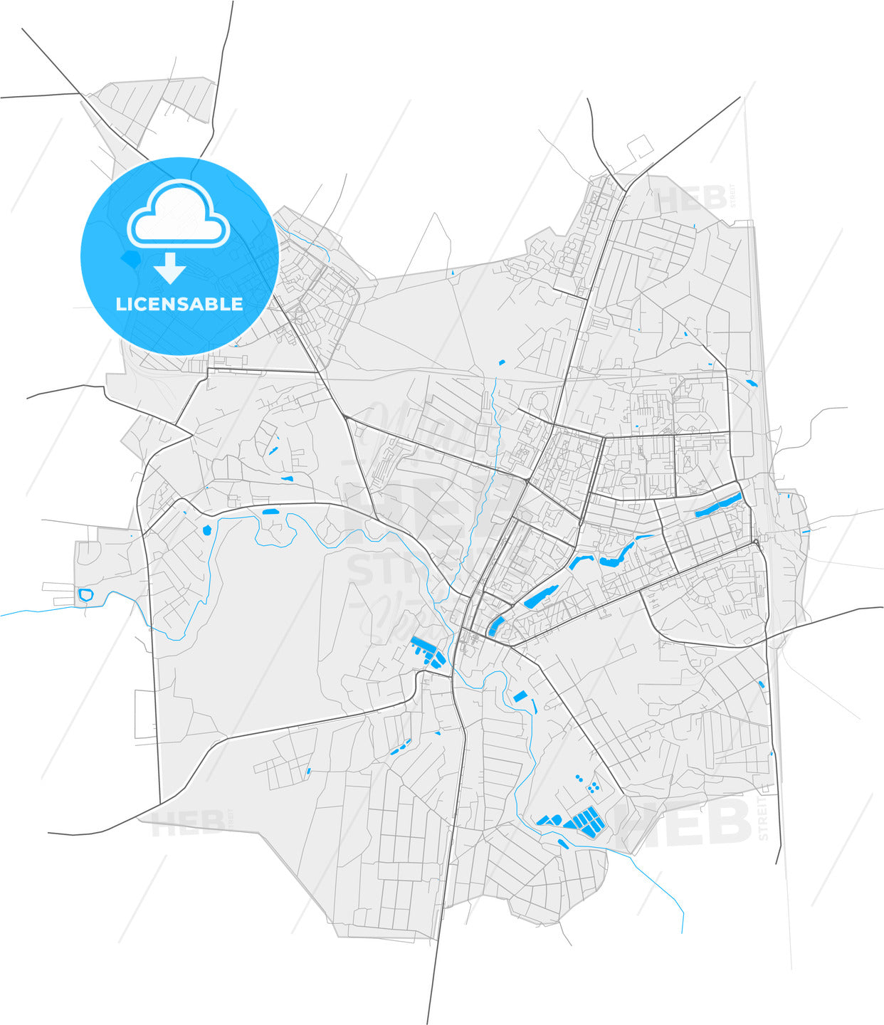 Chekhov, Moscow Oblast, Russia, high quality vector map