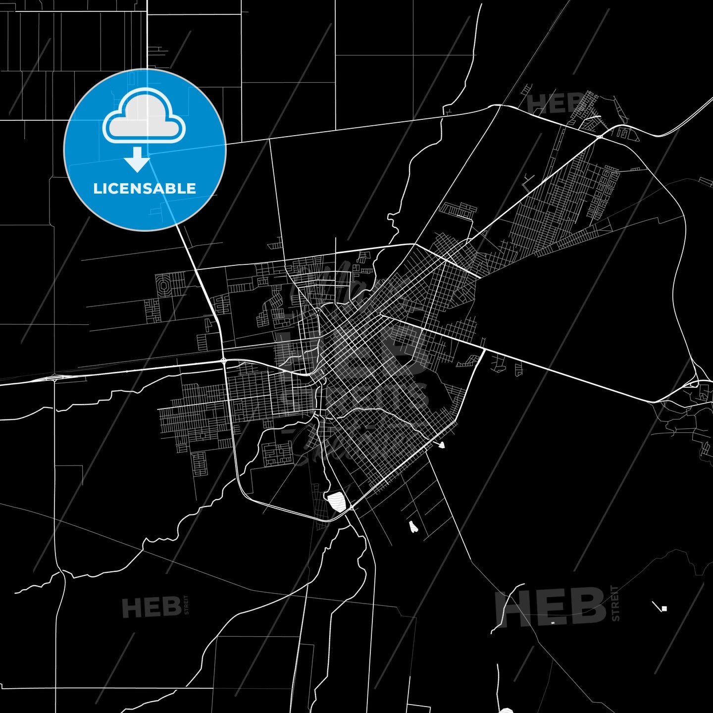 Ciudad Cuauhtémoc, Mexico PDF map