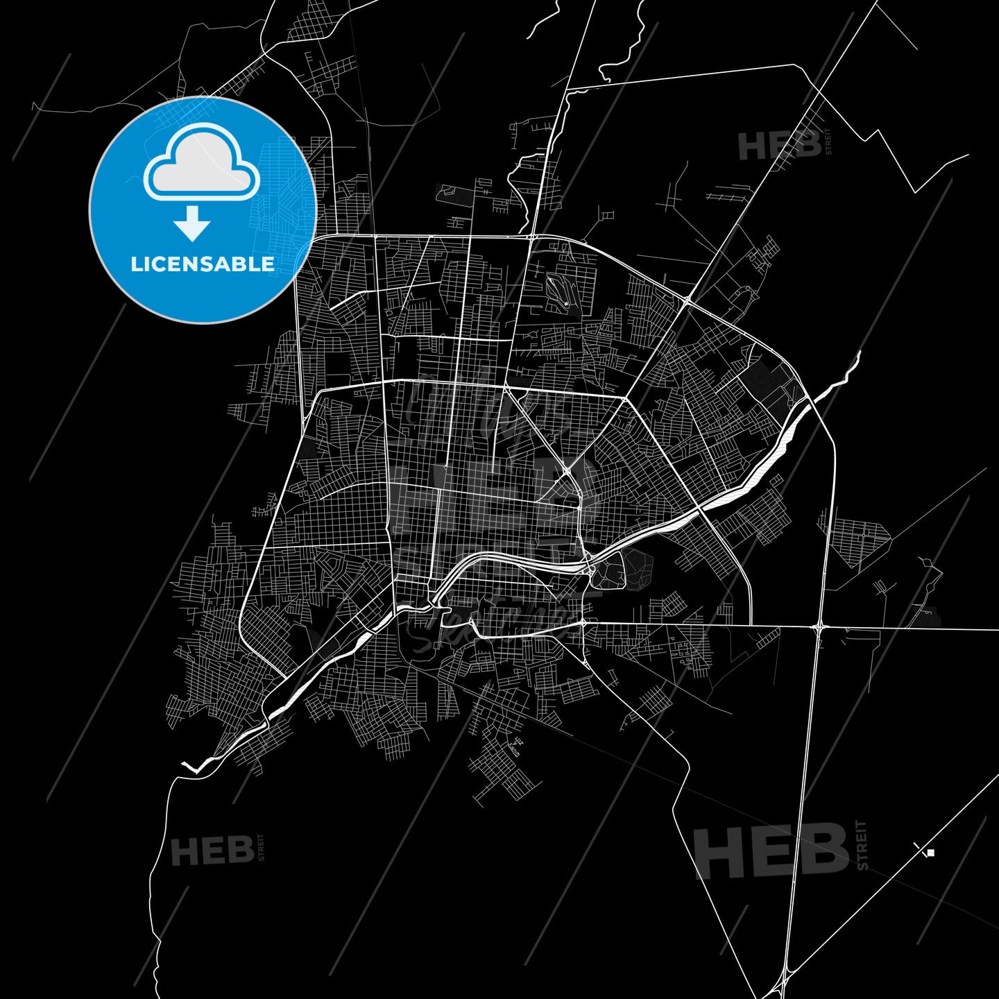 Ciudad Victoria, Mexico PDF map