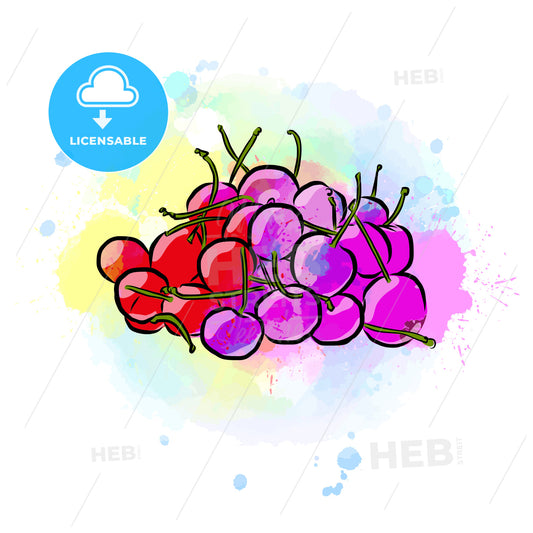 Colored drawing of cherries – instant download
