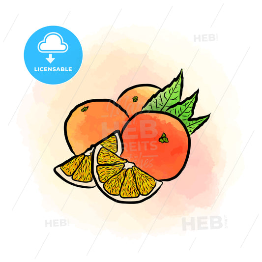 Colored drawing of oranges – instant download