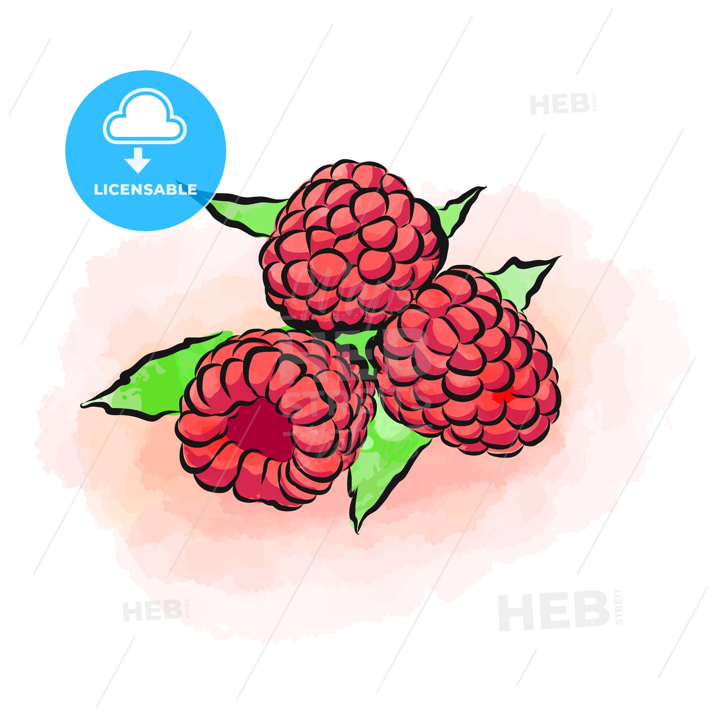 Colored drawing of raspberries – instant download