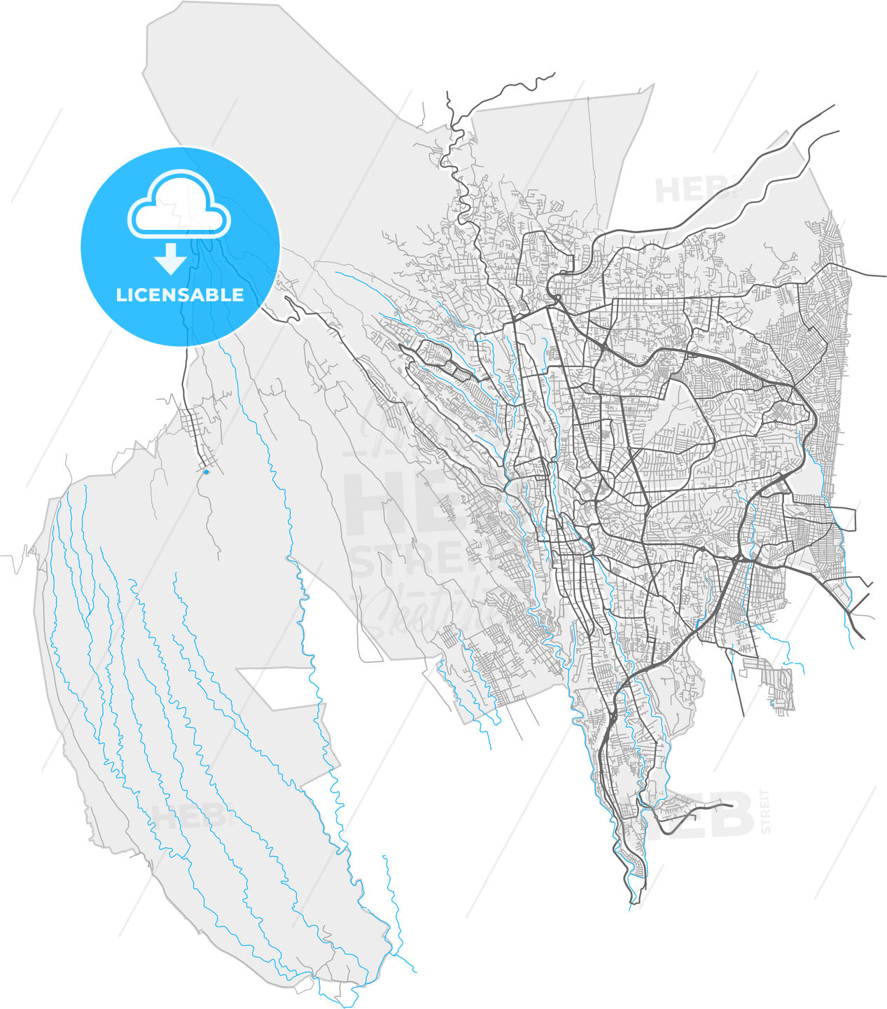 Cuernavaca, Morelos, Mexico, high quality vector map