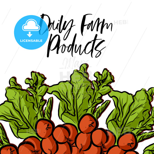 Daily Farm Products lettering and Radishes advertising template – instant download
