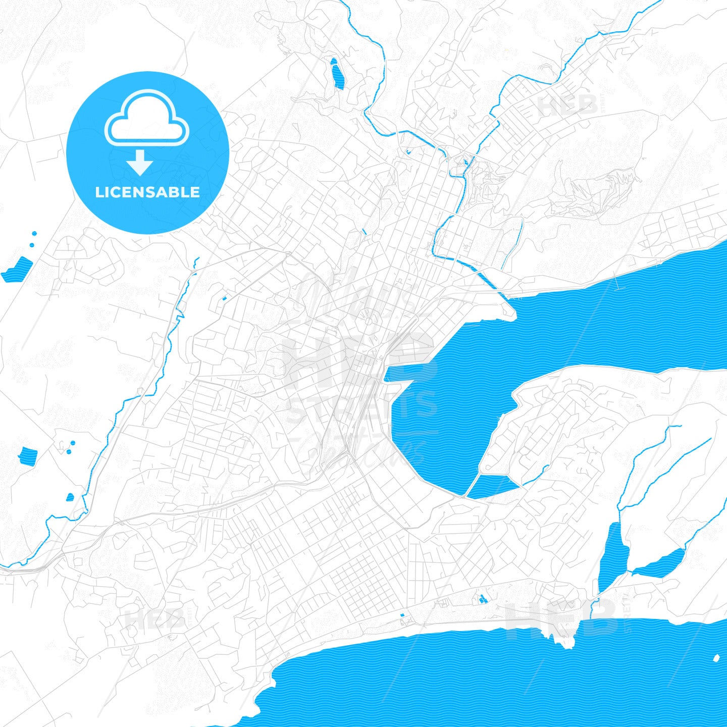 Dunedin, New Zealand PDF vector map with water in focus