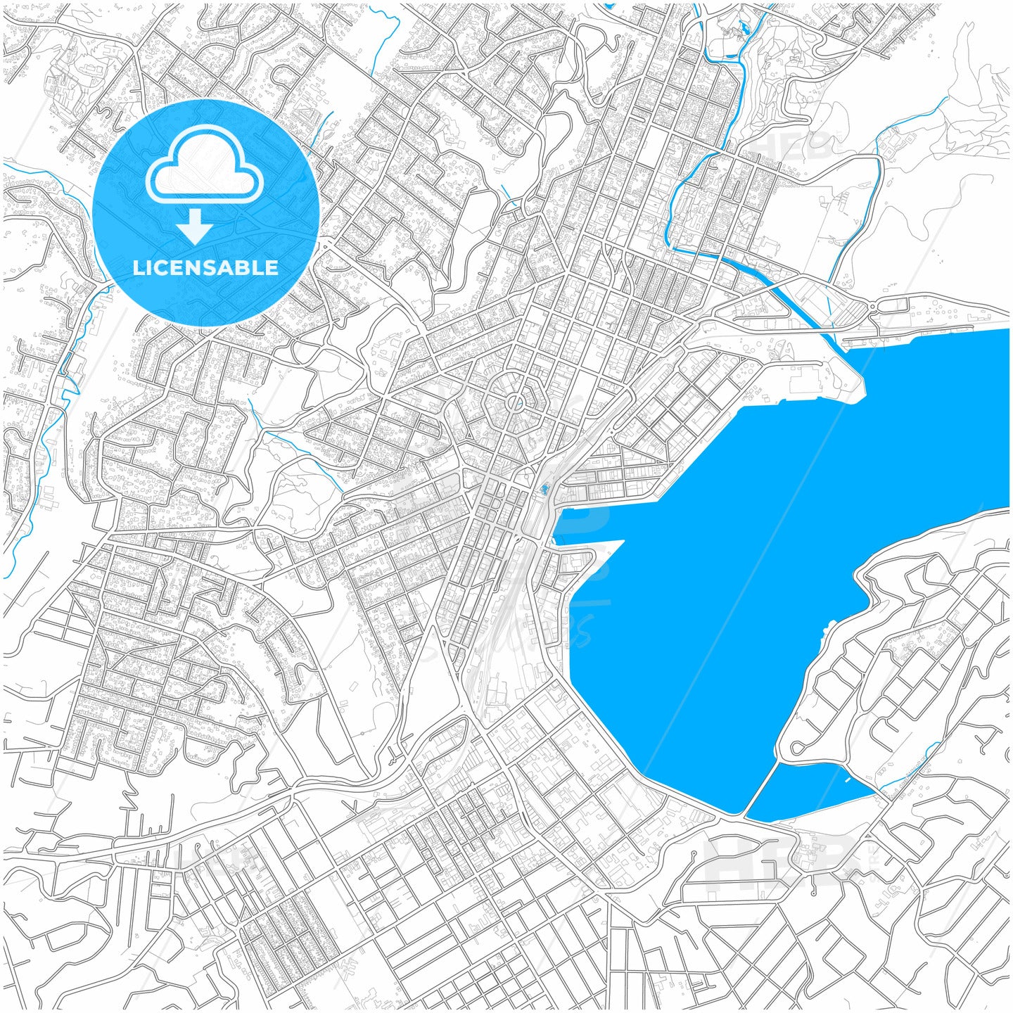 Dunedin, New Zealand, city map with high quality roads.